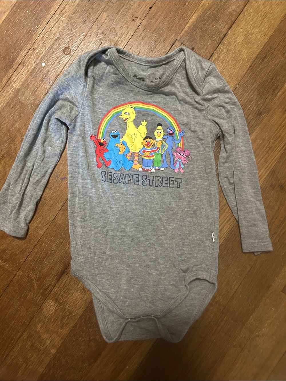 Little Sleepies Sesame Street Rainbow Bamboo Long Sleeve Bodysuit Size 12-18M
